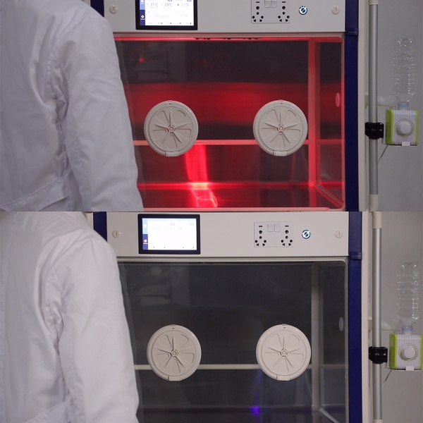 Брудер Curadle Smart incubator PRO 160