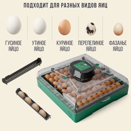 Инкубатор для яиц автоматический Des Champs EU PROFI C-72 на 72 куриных яйца