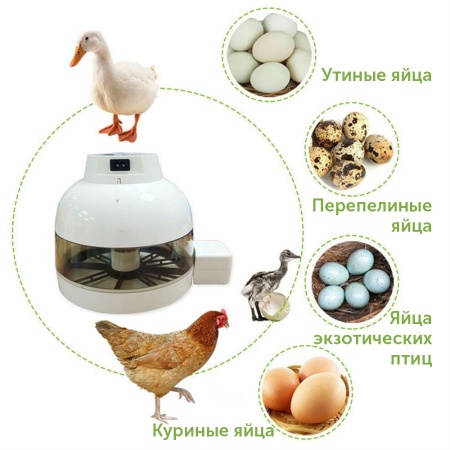 Инкубатор Janoel mini 10 Plus автоматический