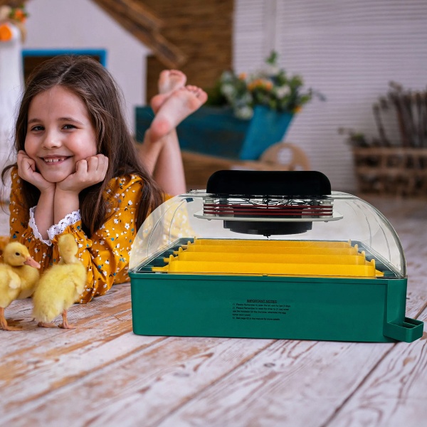 Инкубатор для яиц автоматический Des Champs EU PROFI C-24 с овоскопом на 24 куриных яйца