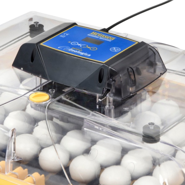 Инкубатор Brinsea Ovation 56 Zoologica