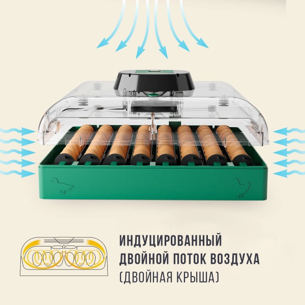 Инкубатор для яиц автоматический Des Champs EU PROFI C-72 на 72 куриных яйца