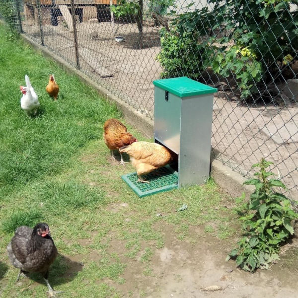 Кормушка педальная Feed-O-Matic 20 кг для кур