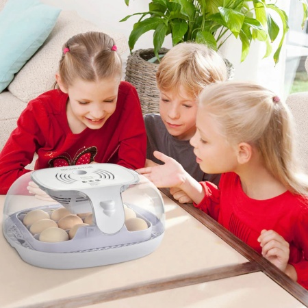 Инкубатор HHD 16 Wonegg мини автоматический с овоскопом на 16 яиц