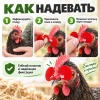 Очки от расклева для птиц, кур, петухов, фазанов со стрелой, 25 шт.