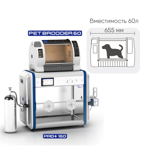 Брудер инкубатор для животных Curadle Pet Brooder 60 / 3-е поколение