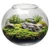 Аквариум круглый Newa Bohemia 4 л, диаметр 21 см