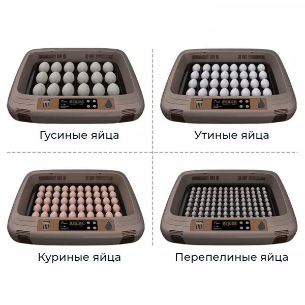 Инкубатор HHD 50 автоматический c универсальным поддоном для куриных, перепелиных, утиных, гусиных яиц