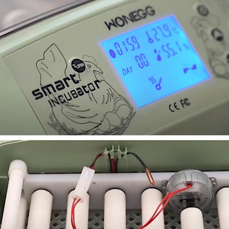 Инкубатор HHD 32 Wonegg автоматический для яиц с роликовым лотком, зеленый, на 32 яйца