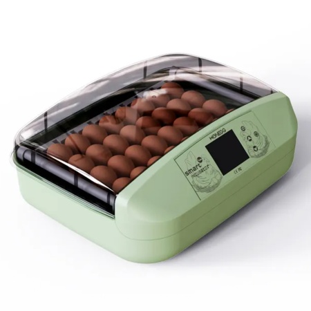 Инкубатор HHD 32 Wonegg автоматический для яиц с роликовым лотком, зеленый, на 32 яйца