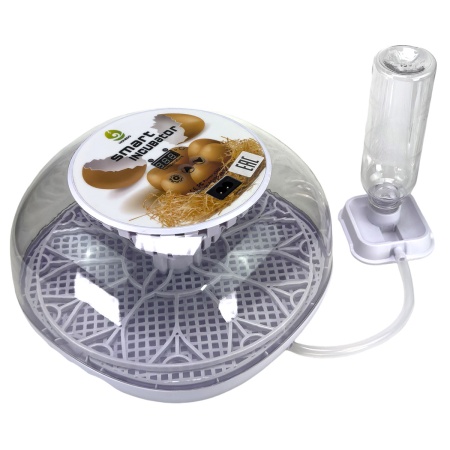 Инкубатор HHD 12 Wonegg мини автоматический на 12 яиц