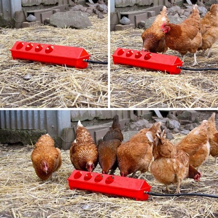 Поилка автоматическая для птиц, пластик, красная