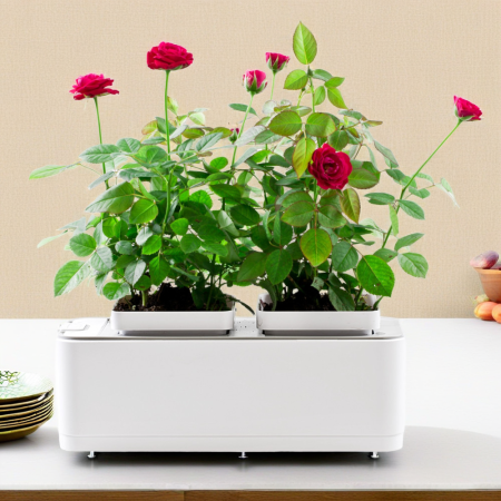 Гидропонная установка HobbyFarm Mini DQ1200, домашний умный смарт сад