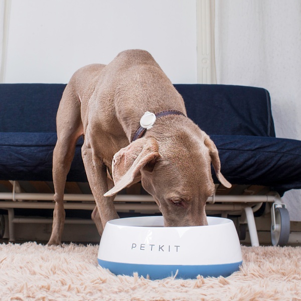 Миска-весы Petkit FRESH Metal 1700 мл для собак, голубая