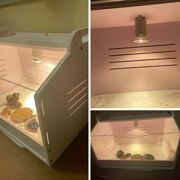 Брудер для цыплят HobbyFarm PBB02 58х30х30 см с регулятором температуры