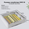 Инкубатор HHD 36 автоматический с овоскопом на 36 яиц