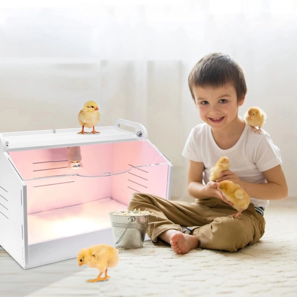 Брудер для цыплят HobbyFarm PBB03-E 78х42х39 см с терморегулятором