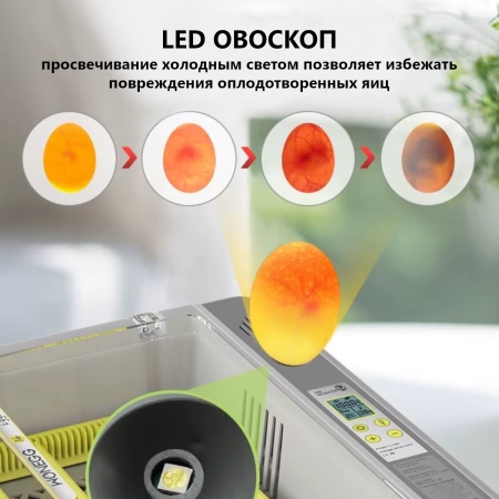 Инкубатор HHD 36 автоматический с овоскопом на 36 яиц