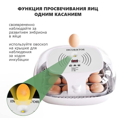Инкубатор HHD 16 Wonegg мини автоматический с овоскопом на 16 яиц