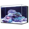 Аквариум с тумбой Boyu Marine HA-600A морской 150 л, с фильтром, скиммером, помпой, черный
