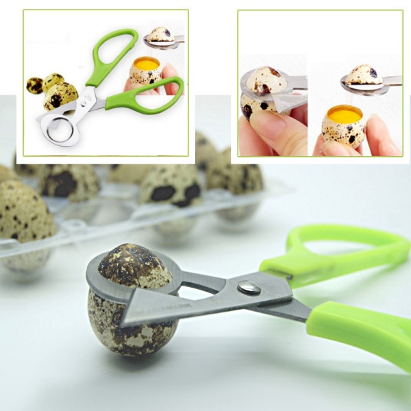 Ножницы для перепелиных яиц