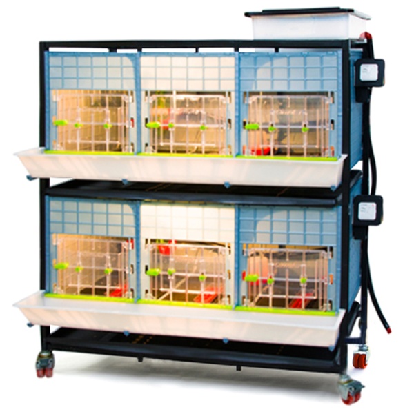 Брудер для цыплят CB40 3 секции, 2 яруса, 98x64x119 см, пластиковый