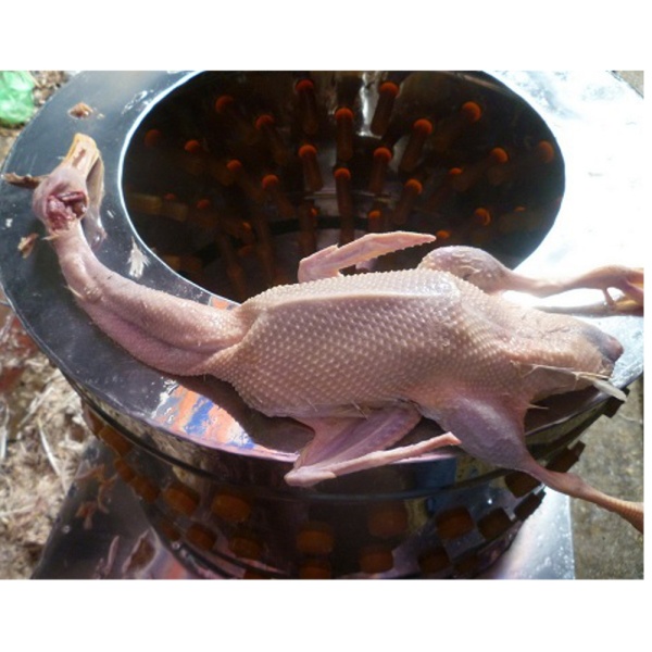 Перосъёмная машина NT-600A для уток и гусей