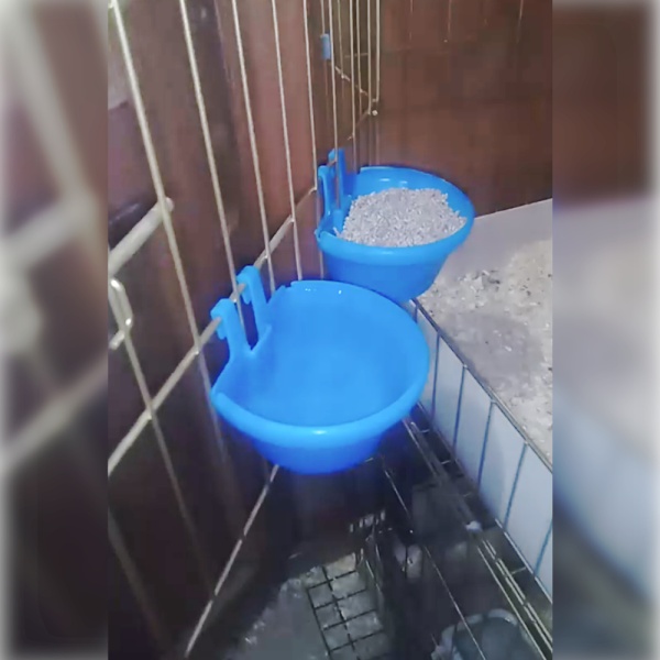 Кормушка-поилка навесная Ø12 см пластик, комплект 5 шт.