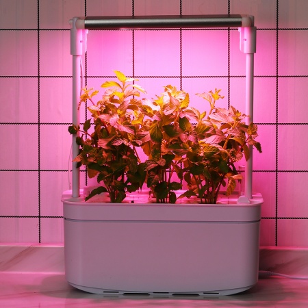 Гидропонная установка HobbyFarm Mini DQ6200-LB-6, домашний умный смарт сад, 6 ячеек, с фитолампой