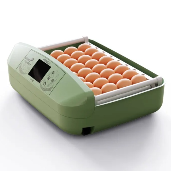 Инкубатор HHD 32 Wonegg автоматический для яиц с роликовым лотком, зеленый, на 32 яйца