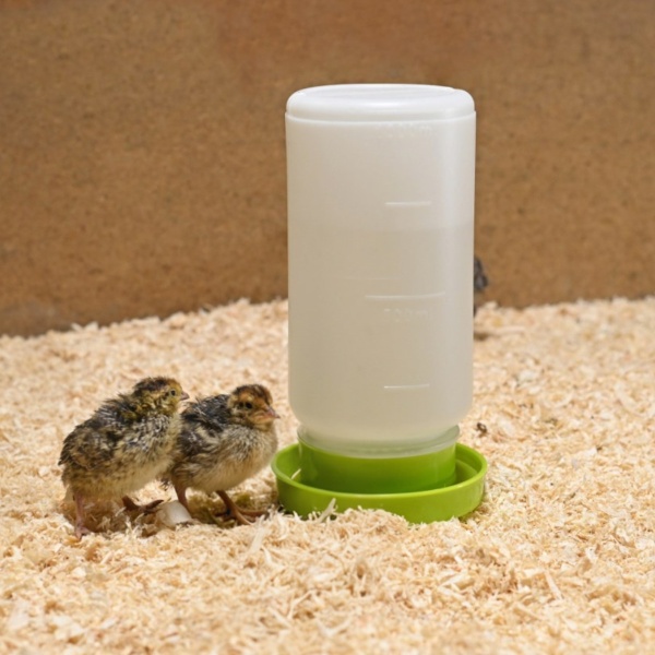 Поилка вакуумная 1 л для цыплят, перепелов и другой мелкой птицы, комплект 5 шт.