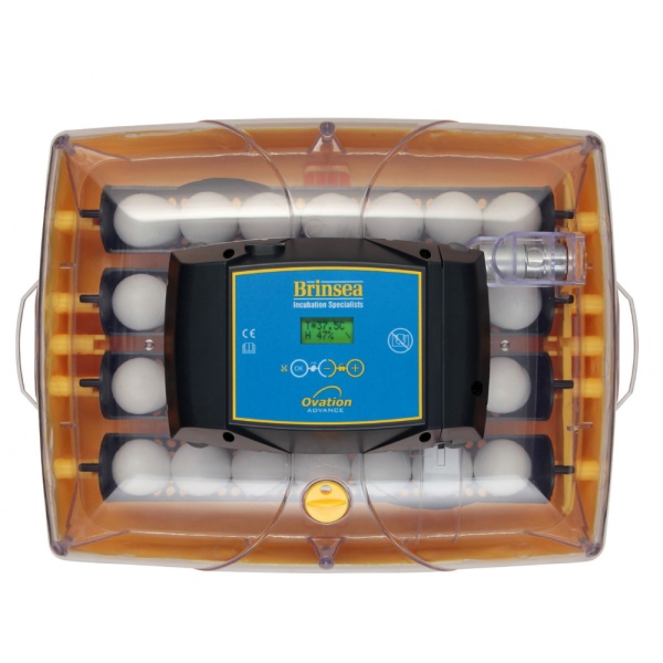 Инкубатор Brinsea Ovation Advance 28 автоматический для яиц
