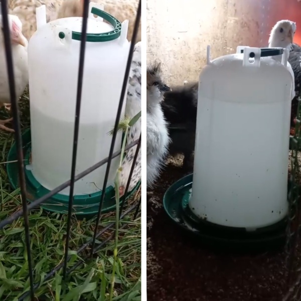 Поилка вакуумная 3 л 