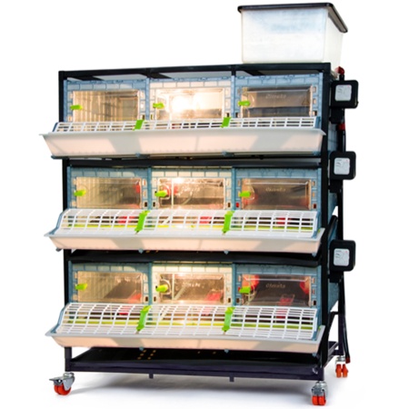 Брудер для цыплят CB25 3 секции, 3 яруса, пластиковый