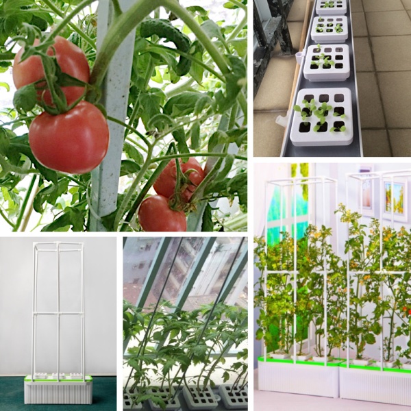 Гидропонная установка HobbyFarm DQ61005, домашний умный смарт сад, 5 ячеек