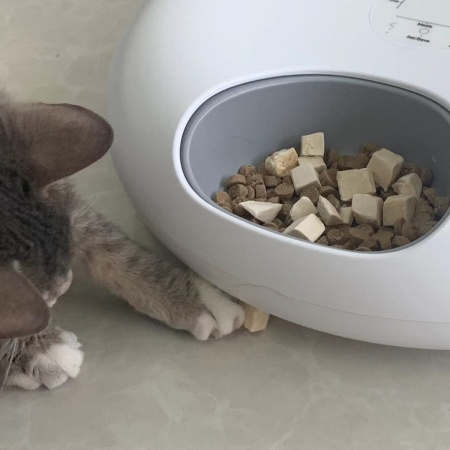 Автокормушка Petzengo PF13 LED для сухого и влажного корма c охлаждением, белая