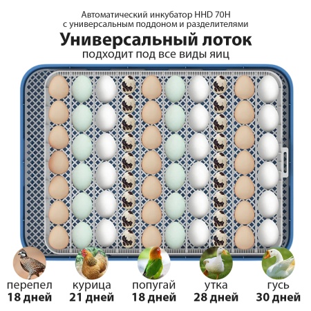 Инкубатор HHD 70H автоматический на 70 яиц, с контролем влажности и овоскопом на 220В/12В от сети и аккумулятора