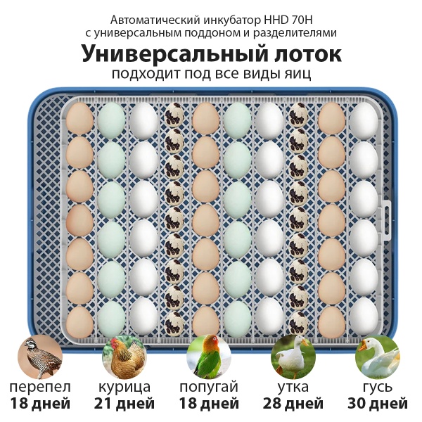 Инкубатор HHD 70H автоматический на 70 яиц, с контролем влажности и овоскопом на 220В/12В от сети и аккумулятора​