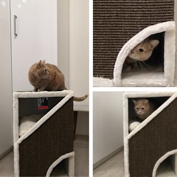 Когтеточка-домик Pet Choice, 40х35х60 см, коричневый, с подушкой